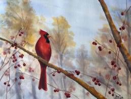 Cardinal comfort