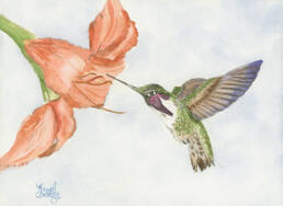 hummingbird dream