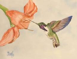 hummingbird dream