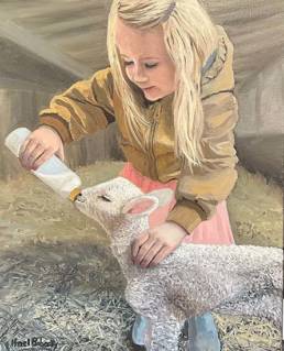 Girl feeding sheep